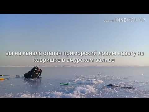 Видео: Рыбалка в Амурском заливе