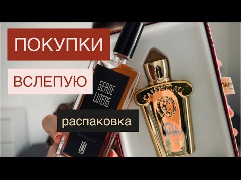 Видео: Первое впечатление Serge Lutens Ambre Sultan & Xerjioff Casafutura!