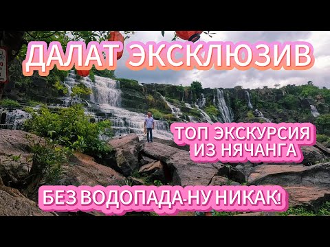 Видео: ВЬЕТНАМ 2025 Экскурсия из Нячанга в Далат с посещением водопада Понгур