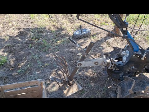 Видео: 🤯 Урожай року! “Рів’єра” дала нереальний результат — дивись сам! 🚜