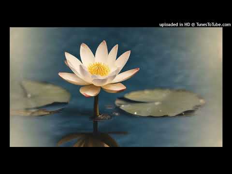 Видео: Миллионы дней