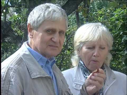 Видео: Лотенков  Сливы Груши Яблоки