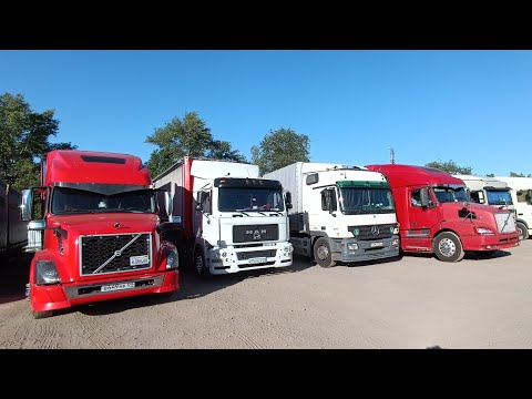 Видео: Volvo VNL 670 & 770 MAN M90 Коллективная вылазка