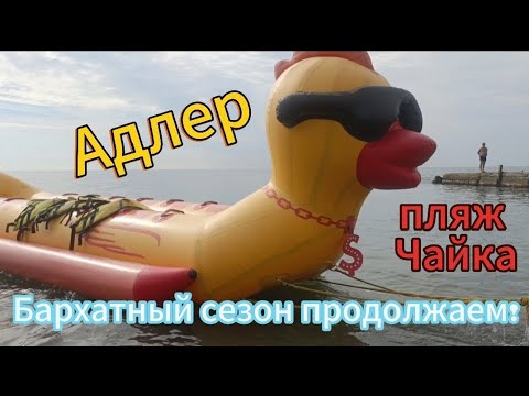 Видео: Адлер/Сочи/18 октября/купаемся и загараем