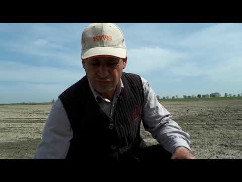 Видео: Первая химобработка посевов сахарной свёклы 2019