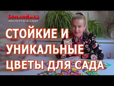 Видео: Самые неприхотливые цветы для дачи. Подборка необычных цветов для сада.