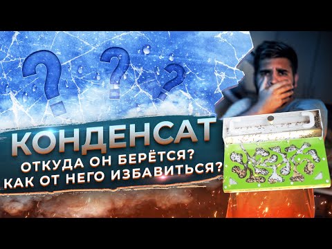 Видео: Конденсат в муравьиной ферме / Откуда конденсат в формикарии и как от него избавиться