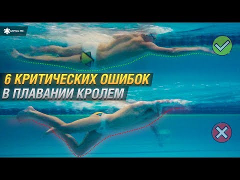 Видео: 6 КРИТИЧЕСКИХ ОШИБОК В КРОЛЕ, ИЗ-ЗА КОТОРЫХ ТЫ НЕ ПЛЫВЕШЬ БЫСТРО.
