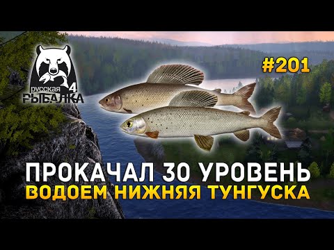 Видео: Прокачал 30 Уровень. Водоем Нижняя Тунгуска - Русская Рыбалка 4 #201