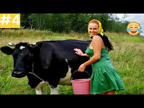 Видео: Я ржал до слез 😂 30 Минут смеха 2025 Смешные видео Приколы с животными!Подборка #4 Угарное видео