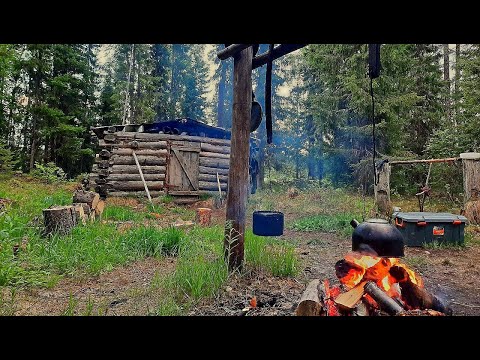 Видео: Рыбалка в сказочных местах. Косолапый ходит рядом, рыба ловится! Живём в избушке у озера. Тайга.
