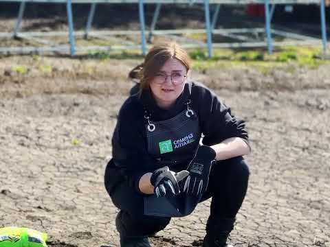 Видео: МОРКОВЬ БУДЕТ РОВНОЙ! Простой посев моркови