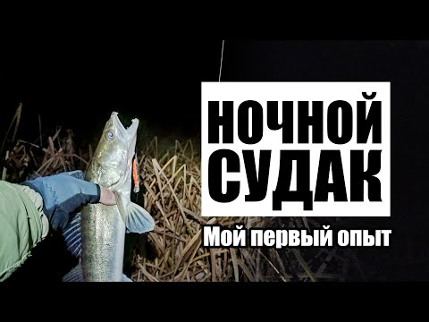 Видео: Ночной судак в октябре! Ока, Нижний Новгород. Рыбалка с берега!