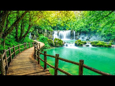 Видео: Музыка лечит сердце и сосуды 🌿 Успокаивающая и расслабляющая музыка для нервной системы