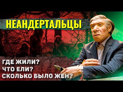 Видео: Как жили неандертальцы?