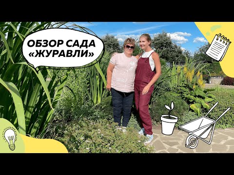 Видео: Обзор сада "Журавли" | Растения 12+ | Редкие растения | Ландшафтный дизайн с @leskovo.pitomnik