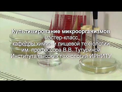 Видео: Мастер-класс «Биология» № 2, Тема: «Культивирование микроорганизмов»
