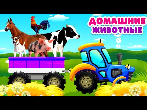 Видео: 50 минут Звуки домашних животных для детей. Синий трактор везёт животных и другие