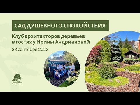 Видео: Клуб архитекторов деревьев в японском саду Ирины Андриановой