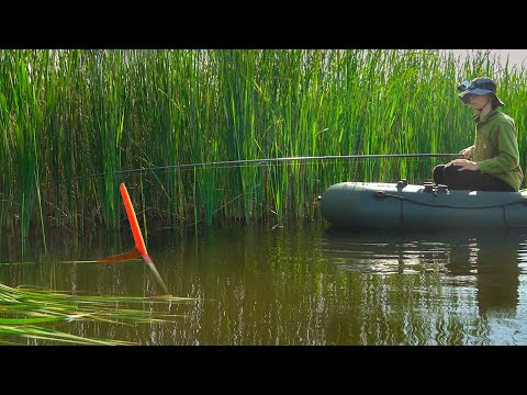 Видео: Рыбачу в ДЕБРЯХ на удочку, наловил ведро карася за пару часов!