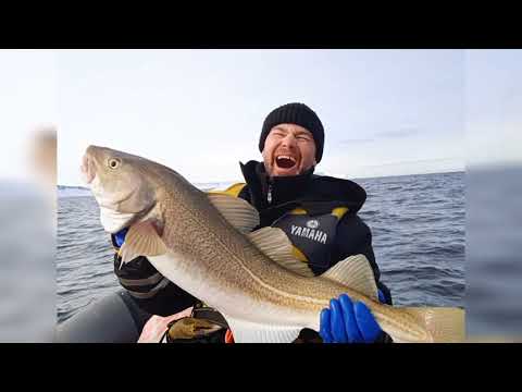 Видео: МОРСКАЯ РЫБАЛКА. ТРЕСКОВАЯ РЫБАЛКА В БАРЕНЦЕВОМ МОРЕ. "SEA FISHING. BARENTS SEA.