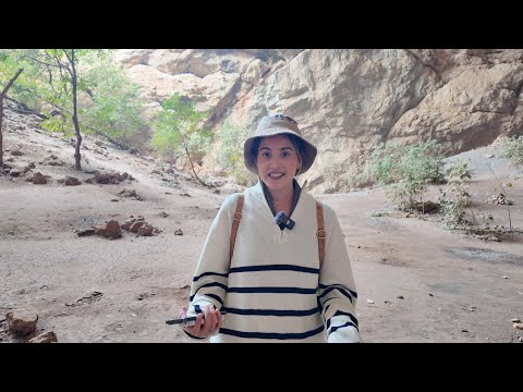 Видео: Шымкентте банан өседі | Visit Shymkent 2025