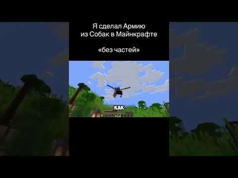 Видео: 22 октября 2025 г.