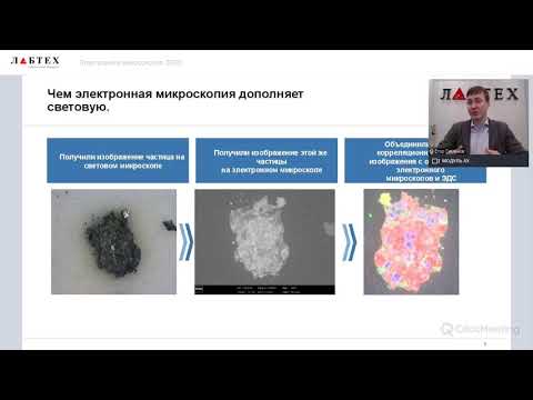 Видео: Электронная микроскопия ZEISS.