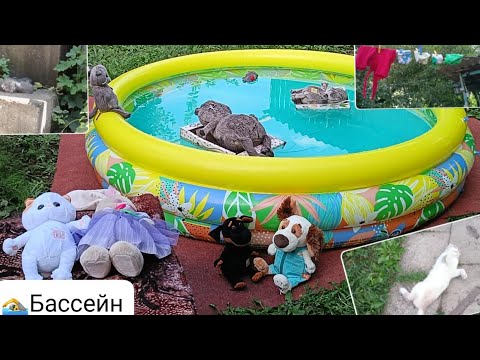 Видео: Влог, появился бассейн👙🏊
