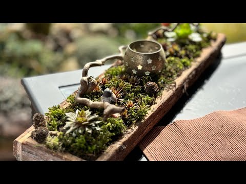 Видео: Композиция/ декор из каменных роз/ молодило для беседки/ сада 🌟Meine neue Komposition 🌟10тыс. подп