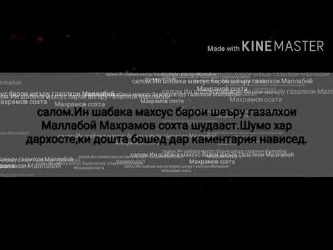 Видео: Маллабой Махрамов