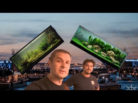 Видео: Два крутейших пресных аквариума Санкт Петербурга