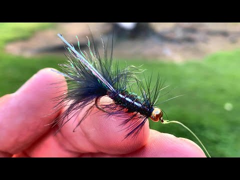 Видео: Поймайте в 10 раз больше синежаберных особей