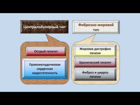 Видео: Ультразвуковая диагностика (УЗИ). Доктор Иогансен. Выпуск 9. Диффузные изменения печени. Часть 1.