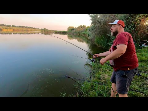 Видео: Давно так шикарно не рыбачили! Рыбалка с ночёвкой с Серёгой братыком и сыновьями!