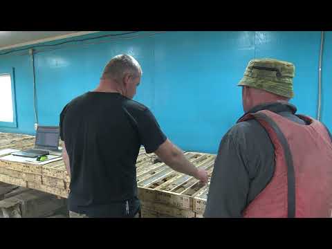 Видео: Якутия   Токко 2021 г