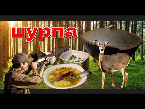 Видео: шурпа из косули