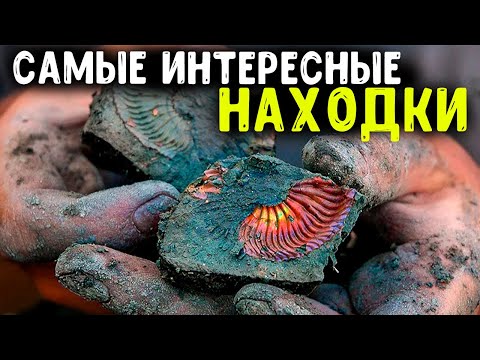 Видео: ИНТЕРЕСНЫЕ И ДОРОГИЕ НАХОДКИ СЕЗОНА. ИТОГ ПОИСКА С МЕТАЛЛОИСКАТЕЛЕМ [Мужские Интересы]