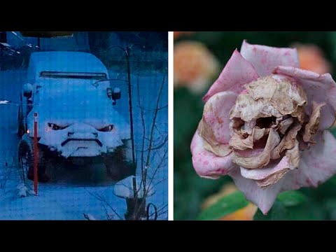Видео: 60 сходств, в которые трудно поверить (3 серия)