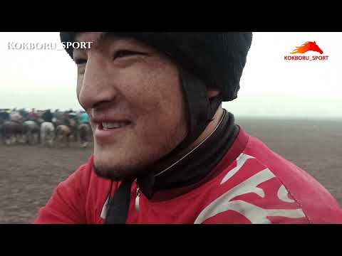 Видео: Улактын рахаты ушул болсо керек. Баяман Балбан катуу ойноп жатат 🔥🔥🔥