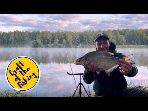 Видео: Повернувся у відоме місце — сом з ночі, лящ зранку! Десна біля земснаряду