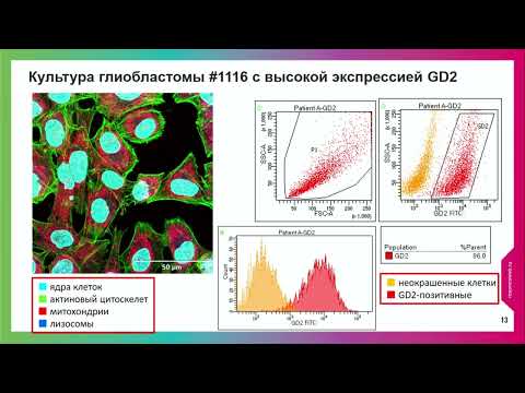 Видео: Роль вакцины на основе аутологичных дендритных клеток в лечении глиобластом