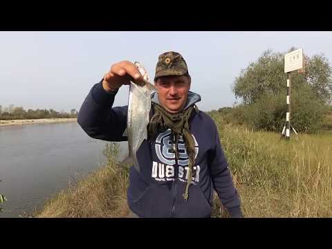 Видео: рыбалка на Припяти часть 2 сентябрь 2018