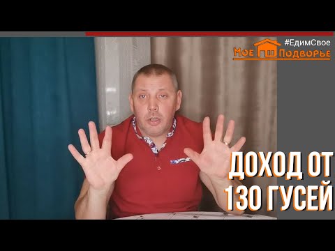Видео: Сколько я заработал на ГУСЯХ?! Сезон 2022. "Мое Подворье"