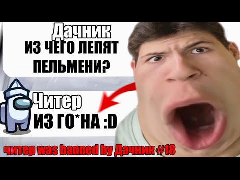 Видео: САМЫЙ ТУПОЙ ЧИТЕР В АМОНГ АС #18