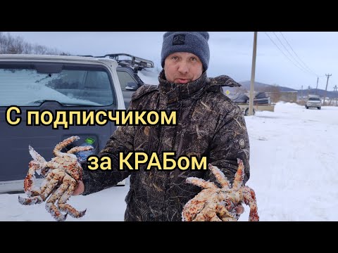 Видео: На КРАБалку с подписчиком. Ловим колючего краба из подо льда!!!
