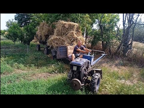 Видео: Звозимо тюки, мотоблок буксує 💪прес тюкує👍