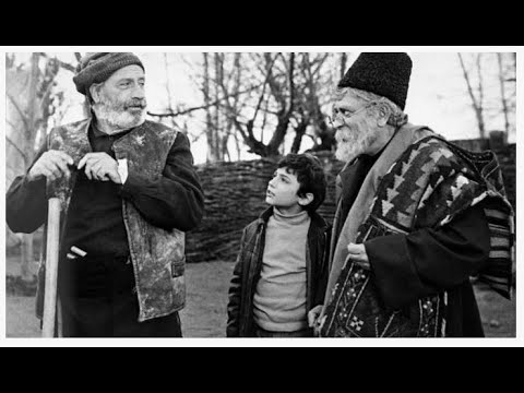 Видео: Саженцы 1972