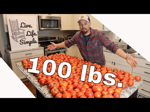 Видео: Сублимированный томатный соус, сок, суп, сублимированная сальса #freezedriedtomatoes