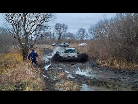 Видео: КОРОЛИ ЛАЙТОВОЙ ПОКАТУХИ! PRADO, НИВА, PAJERO, LAND ROVER